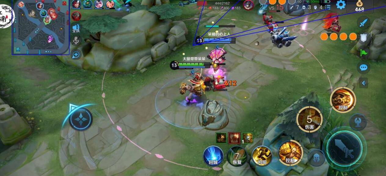 王者荣耀《九天玄鸟》外挂