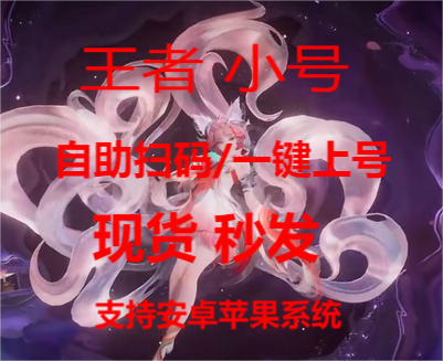 王者【猪猪侠】直装辅助上线｜全图绘制 + 高清视野 + 稳定体验！